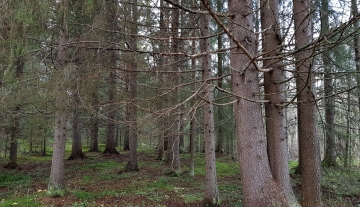 L13.jpg