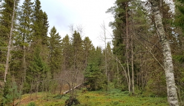 L15.jpg
