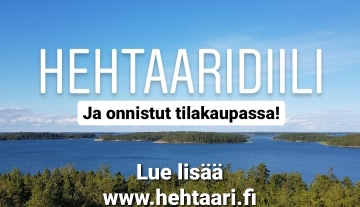 ni18.jpg