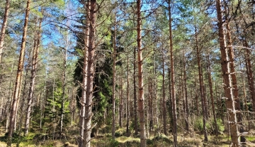 u10.jpg