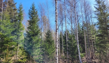 u16.jpg
