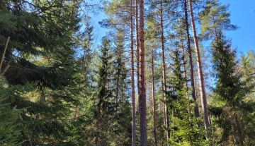 Uusikukkola 108-426-4-14m