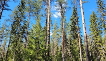 Välkkylä 989-403-10-28