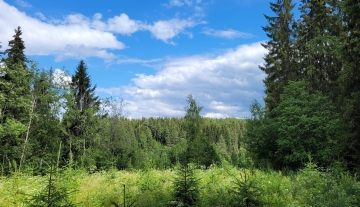 Niskavuori I 108-414-2-119 määräalat 1 ja 2